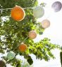 Lichtkabel Jungla Mehrfarbig